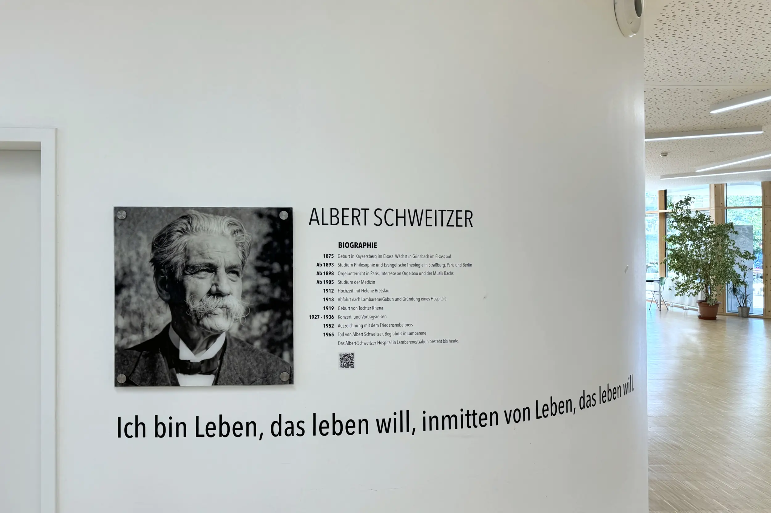 Albert-Schweitzer-Gymnasium / das allgemeinbildende Gymnasium in Gundelfingen